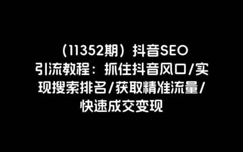 （11352期）抖音SEO引流教程：抓住抖音风口/实现搜索排名/获取精准流量/快速成交变现