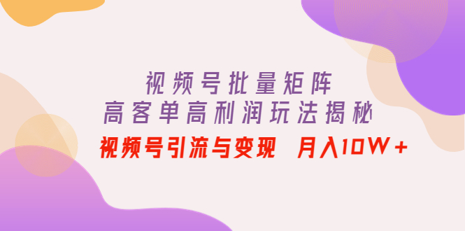 （4193期）视频号批量矩阵的高客单高利润玩法揭秘： 视频号引流与变现 月入10W+