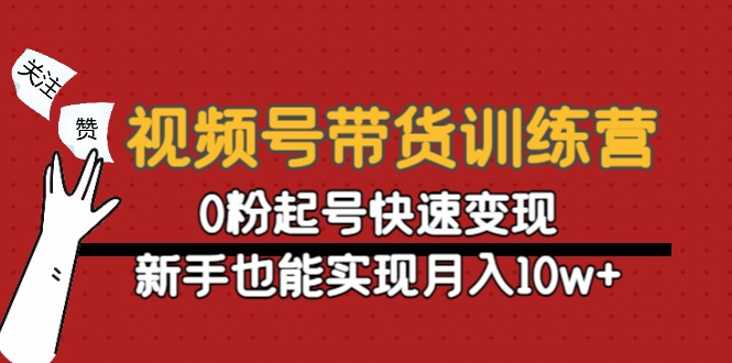 （4446期）视频号带货训练营：0粉起号快速变现，新手也能实现月入10w+