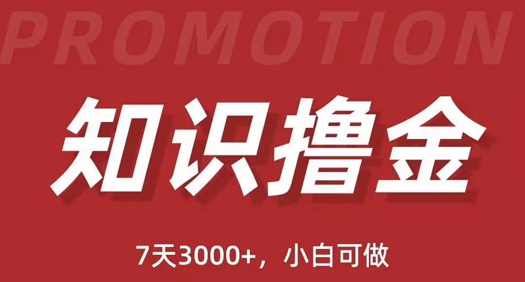 （5629期）抖音知识撸金项目：简单粗暴日入1000+执行力强当天见收益(教程+资料)