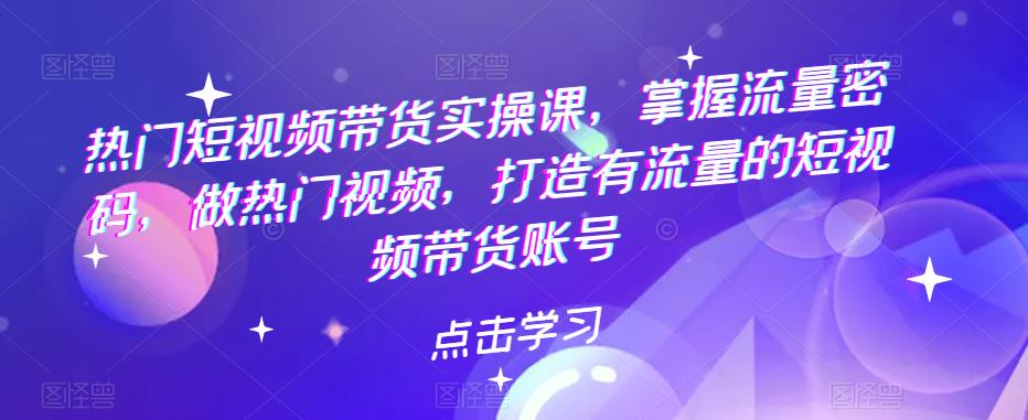 （5773期）热门短视频带货实战 掌握流量密码 做热门视频 打造有流量的短视频带货账号