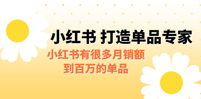 （6541期）某公众号付费文章《小红书 打造单品专家》小红书有很多月销额到百万的单品