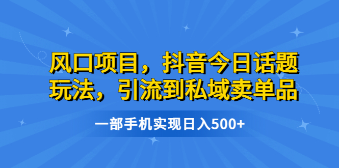 （6588期）风口项目，抖音今日话题玩法，引流到私域卖单品，一部手机实现日入500+