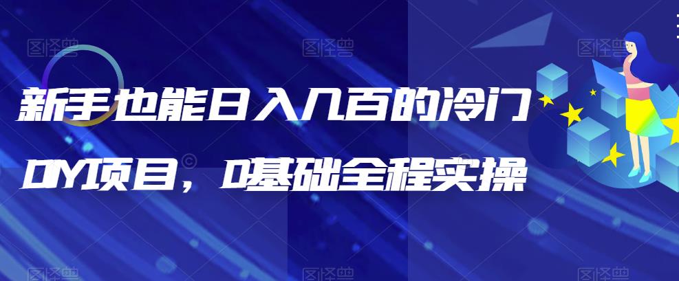 （6630期）新手也能日入几百的冷门DIY项目，0基础全程实操