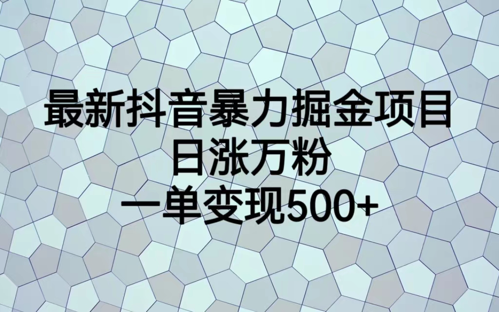 （6642期）最新抖音暴力掘金项目，日涨万粉，一单变现500+