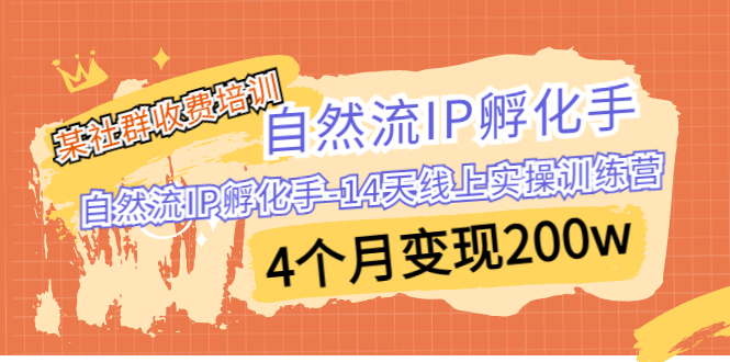 （6924期）某社群收费培训：自然流IP 孵化手-14天线上实操训练营 4个月变现200w