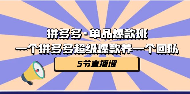 （7019期）拼多多·单品爆款班，一个拼多多超级爆款养一个团队（5节直播课）