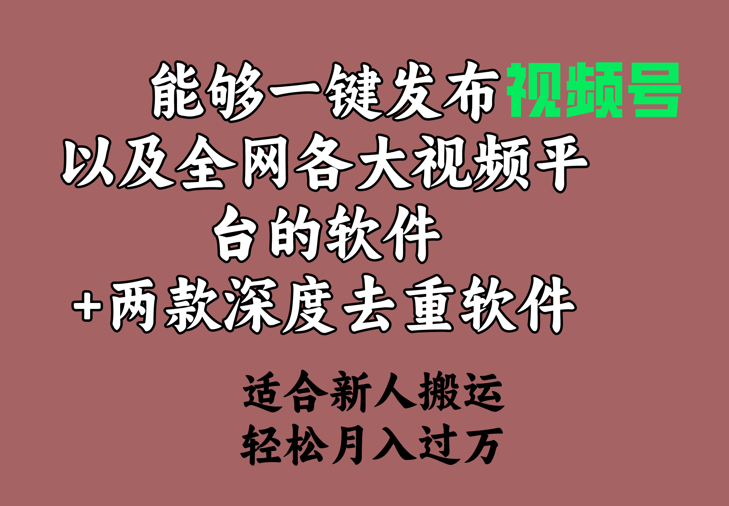 （9319期）能够一键发布视频号以及全网各大视频平台的软件+两款深度去重软件 适合…_80楼网创