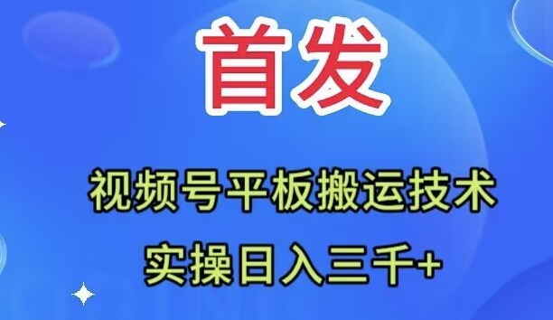 （7843期）全网首发：视频号平板搬运技术，实操日入三千＋_80楼网创