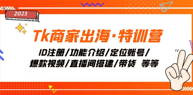 （7974期）Tk商家出海·特训营：ID注册/功能介绍/定位账号/爆款视频/直播间搭建/带货._80楼网创