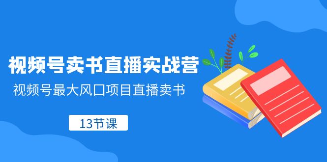 （8080期）视频号-卖书直播实战营，视频号最大风囗项目直播卖书（13节课）_80楼网创