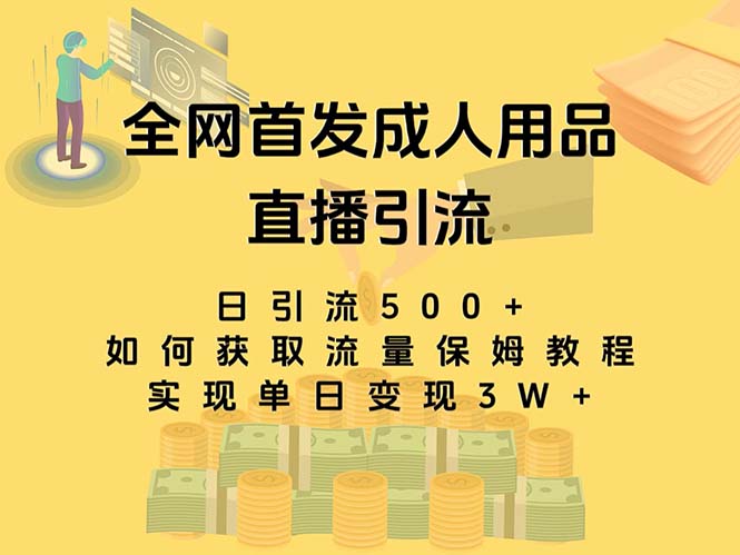 （8193期）最新全网独创首发，成人用品直播引流获客暴力玩法，单日变现3w保姆级教程_80楼网创