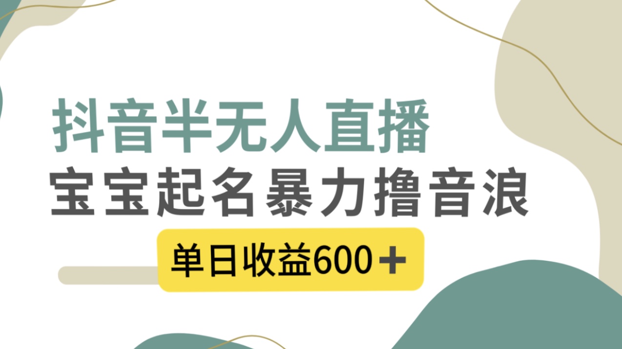 （8192期）抖音半无人直播，宝宝起名，暴力撸音浪，单日收益600+_80楼网创