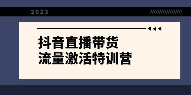 （8185期）抖音直播带货-流量激活特训营，入行新手小白主播必学（21节课+资料）_80楼网创