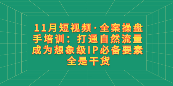 （8182期）11月短视频·全案操盘手培训：打通自然流量 成为想象级IP必备要素 全是干货_80楼网创