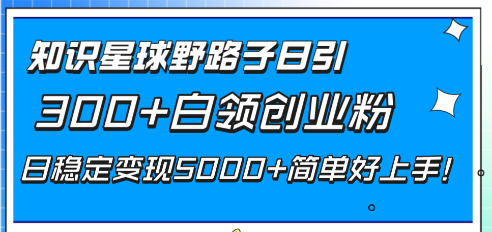 （8315期）知识星球野路子日引300+白领创业粉，日稳定变现5000+简单好上手！_80楼网创