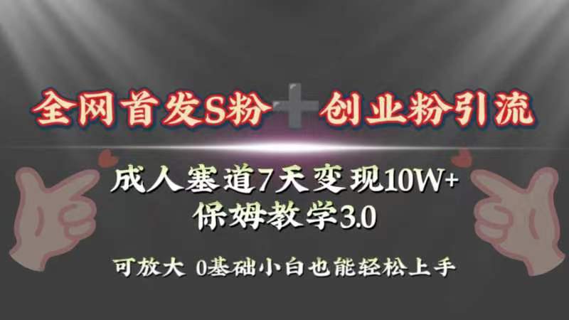 （8337期）全网首发s粉加创业粉引流变现，成人用品赛道7天变现10w+保姆教学3.0_80楼网创