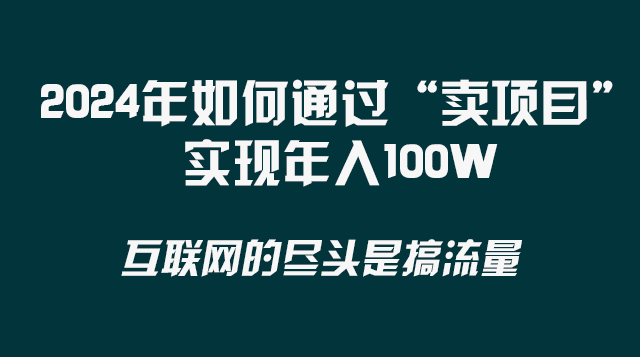 （8382期） 2024年如何通过“卖项目”实现年入100W_80楼网创