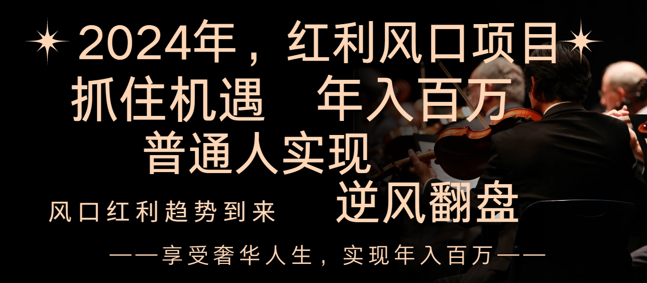 （8418期）2024红利风口项目来袭，享受第一波红利，逆风翻盘普通人也能实现，年入百万_80楼网创