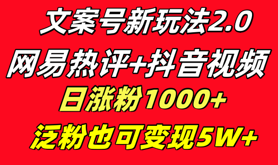 （8484期）文案号新玩法 网易热评+抖音文案 一天涨粉1000+ 多种变现模式 泛粉也可变现_80楼网创