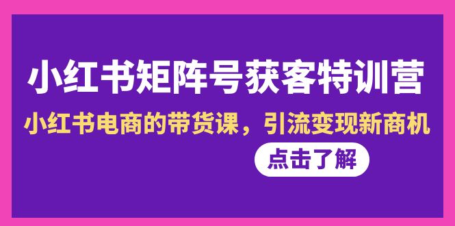 （8909期）小红书-矩阵号获客特训营-第10期，小红书电商的带货课，引流变现新商机_80楼网创