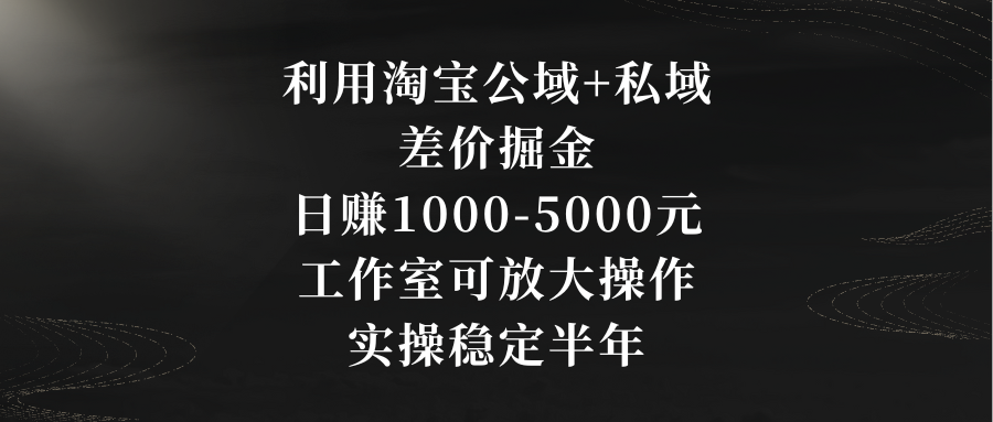 （8952期）利用淘宝公域+私域差价掘金，日赚1000-5000元，工作室可放大操作，实操…_80楼网创