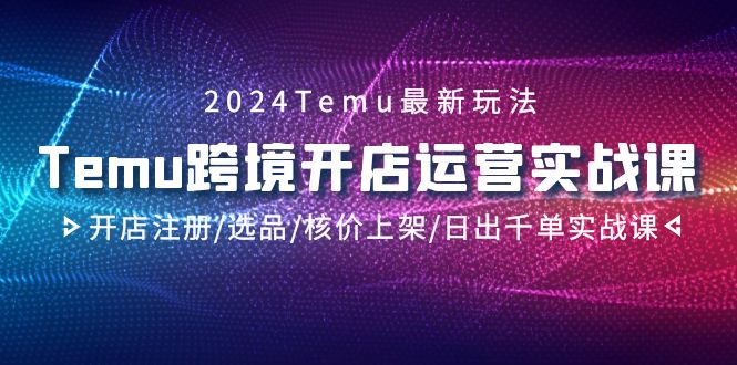 （9208期）2024Temu跨境开店运营实战课，开店注册/选品/核价上架/日出千单实战课_80楼网创