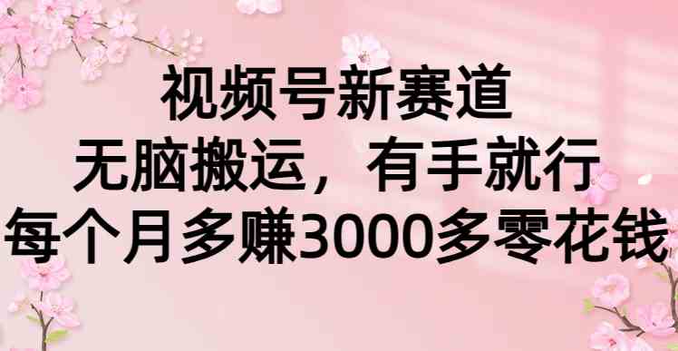 （9278期）视频号新赛道，无脑搬运，有手就行，每个月多赚3000多零花钱_80楼网创