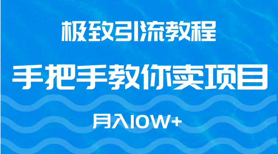 （9265期）极致引流教程，手把手教你卖项目，月入10W+_80楼网创