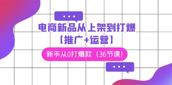 （9286期）电商 新品从上架到打爆【推广+运营】，新手从0打爆款（36节课）_80楼网创