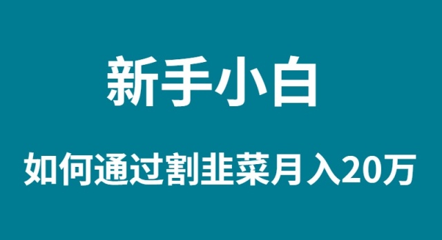 （9308期）新手小白如何通过割韭菜月入 20W_80楼网创