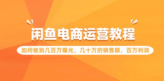 （9560期）闲鱼电商运营教程：如何做到几百万曝光，几十万的销售额，百万利润_80楼网创