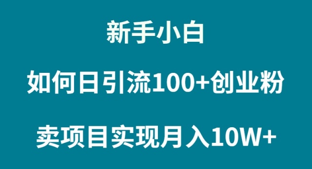 （9556期）新手小白如何通过卖项目实现月入10W+_80楼网创