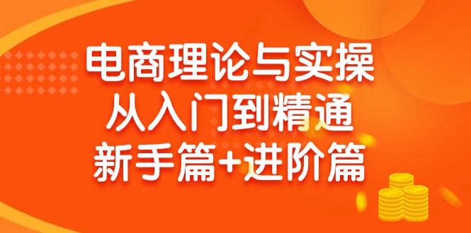 （9576期）电商理论与实操从入门到精通 新手篇+进阶篇_80楼网创