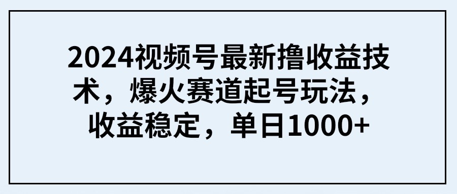 （9651期） 2024视频号最新撸收益技术，爆火赛道起号玩法，收益稳定，单日1000+_80楼网创