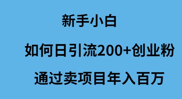 （9668期）新手小白如何日引流200+创业粉通过卖项目年入百万_80楼网创