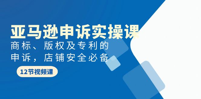 （9754期）亚马逊-申诉实战课，​商标、版权及专利的申诉，店铺安全必备_80楼网创