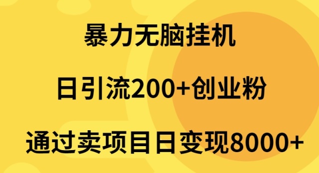 （9788期）暴力无脑挂机日引流200+创业粉通过卖项目日变现2000+_80楼网创