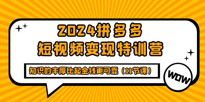 （9817期）2024拼多多短视频变现特训营，知识的丰厚比起金钱更可靠（11节课）_80楼网创