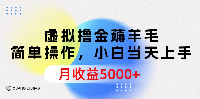 （9864期）虚拟撸金薅羊毛，简单操作，小白当天上手，月收益5000+_80楼网创