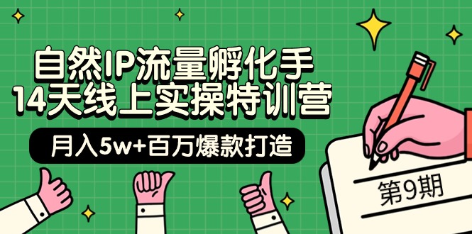 （9881期）自然IP流量孵化手 14天线上实操特训营【第9期】月入5w+百万爆款打造 (74节)_80楼网创