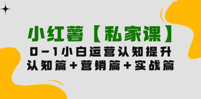 （9910期）小红薯【私家课】0-1玩赚小红书内容营销，认知篇+营销篇+实战篇（11节课）_80楼网创