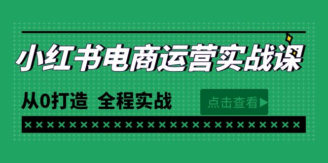 （9946期）最新小红书·电商运营实战课，从0打造  全程实战（65节视频课）_80楼网创