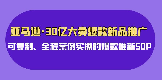 （9944期）亚马逊30亿·大卖爆款新品推广，可复制、全程案例实操的爆款推新SOP_80楼网创