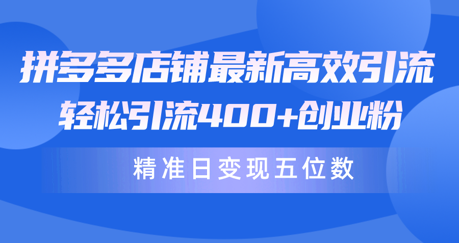 （10041期）拼多多店铺最新高效引流术，轻松引流400+创业粉，精准日变现五位数！_80楼网创