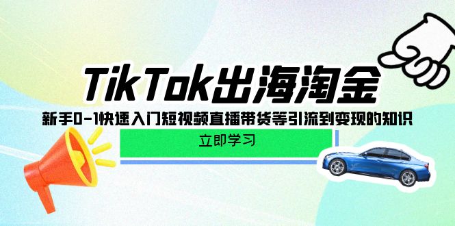 （10035期）TikTok-出海淘金，新手0-1快速入门短视频直播带货等引流到变现的知识_80楼网创