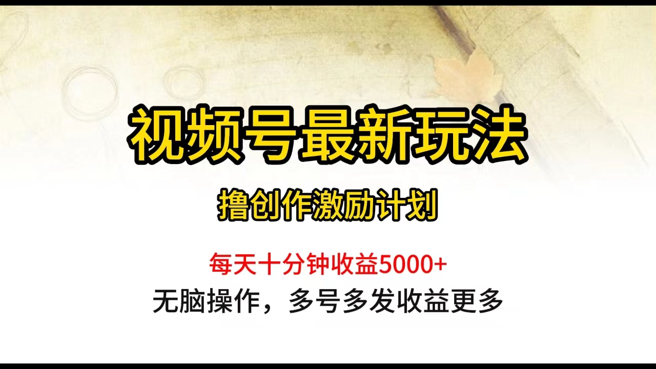 （10087期）视频号最新玩法，每日一小时月入5000+_80楼网创