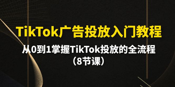 （10085期）TikTok广告投放入门教程，从0到1掌握TikTok投放的全流程（8节课）_80楼网创