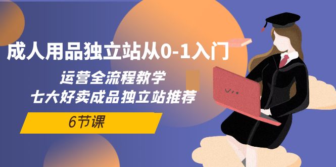 （10082期）成人用品独立站从0-1入门，运营全流程教学，七大好卖成品独立站推荐-6节课_80楼网创