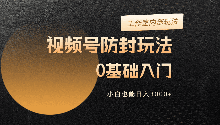 （10107期）2024视频号升级防封玩法，零基础入门，小白也能日入3000+_80楼网创